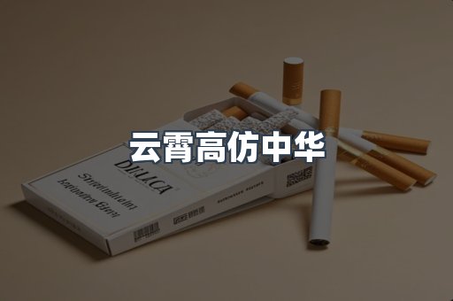 云霄高仿中华